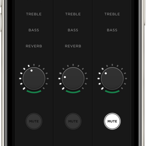 (Pre-Order) S1 Pro+ Wireless PA System