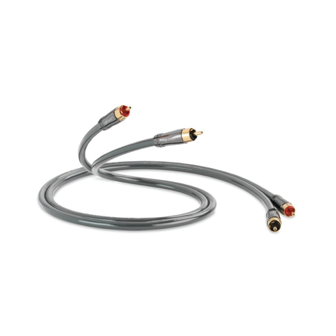 Performance Audio 40i (1m)